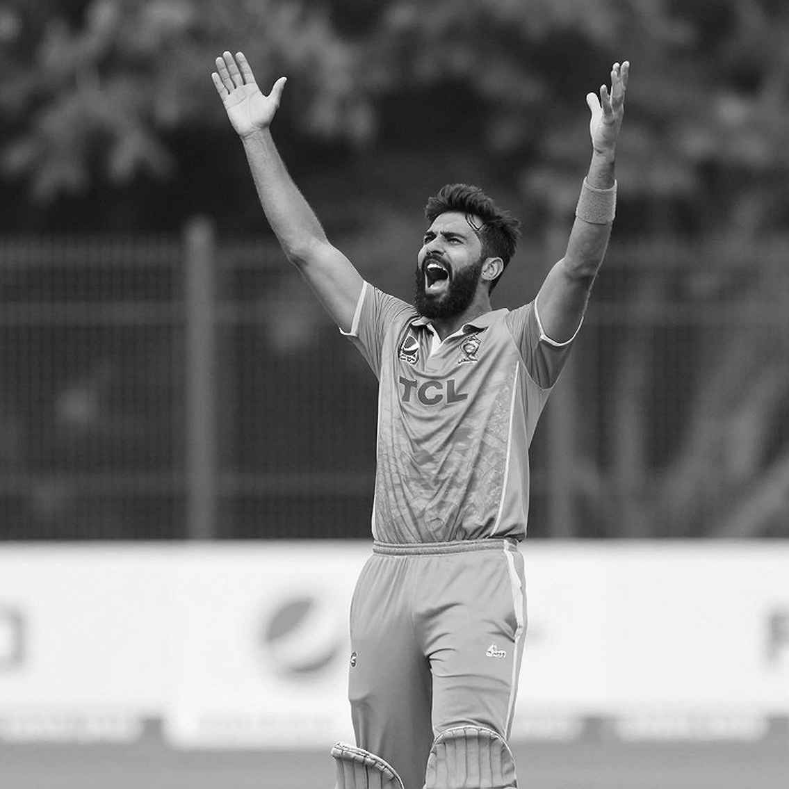 নীরবতার আট স্তর: যেখানে এশীয় ক্রিকেটের তথ্য থেমে যায়