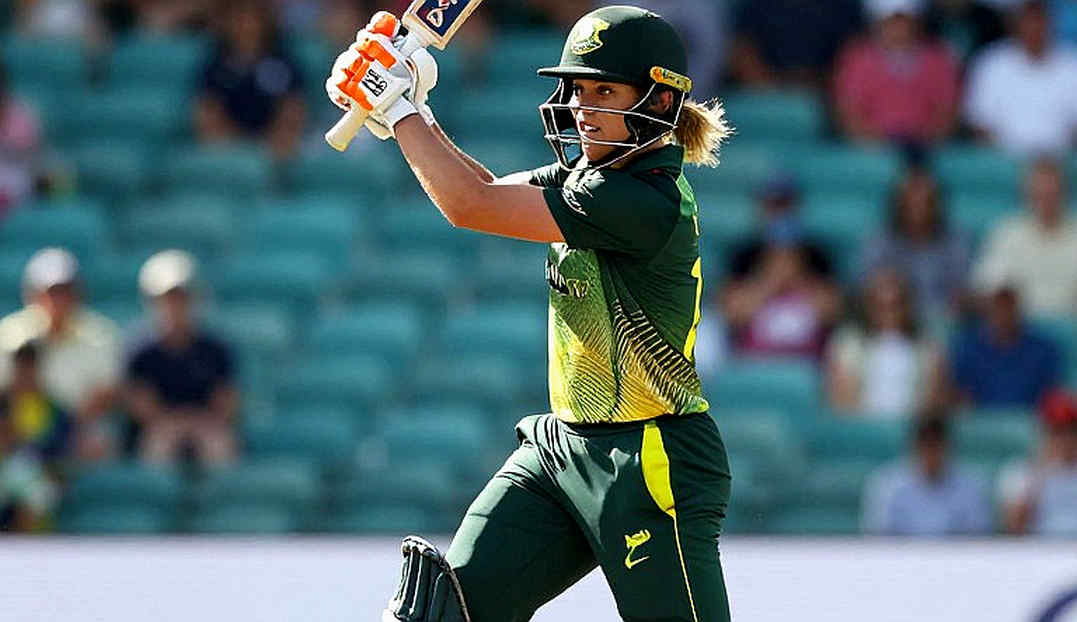 The Ledger of Zero: Why an Empty Dataset Is Itself a Cricket Story The Ledger of Zero: Why an Empty Dataset Is Itself a Cricket Story