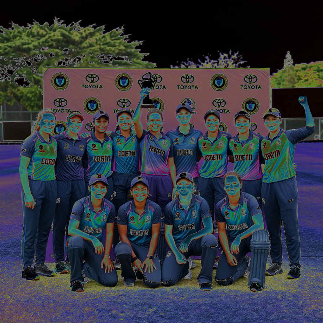 The Invisible Geography of the Cricket Transfer Market: How Money, Information, and Ego Build a Squad